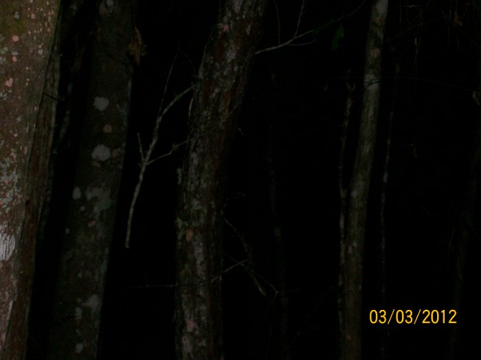 2012-Mar-03HGR4X4Richloam 251